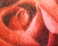 Rose - Framed Product Detail