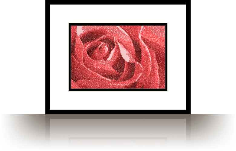 Red Rose